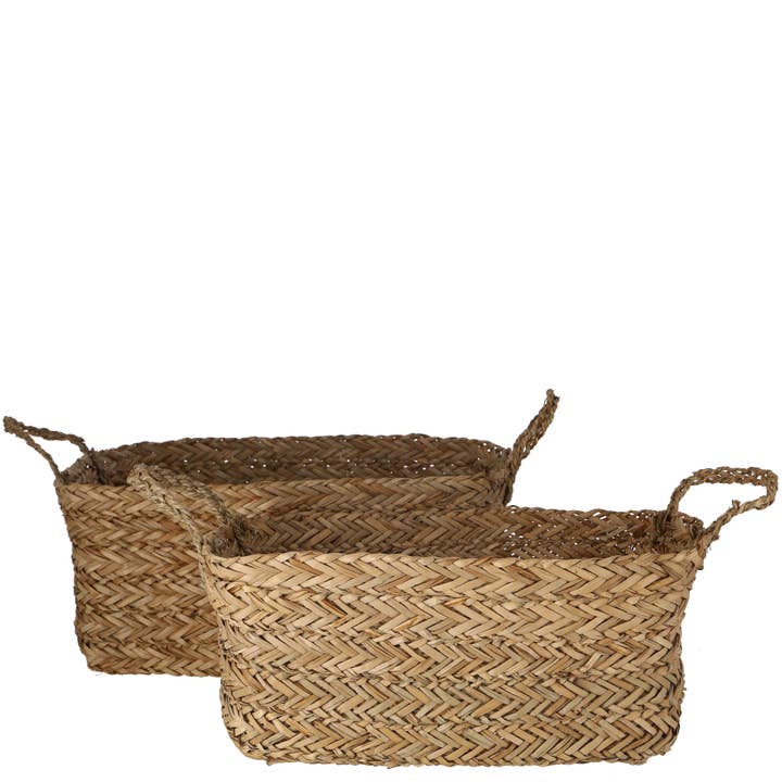 Vosteen – Großhandel Blumentopf – Natur Schale Seram, 2er-Set, L52/45cm, Natur