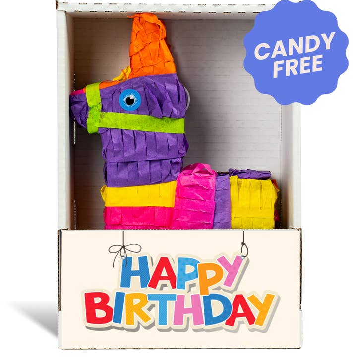 Happy Birthday Banner Piñatagram (School Fun Pack) for wholesale by Piñatagrams