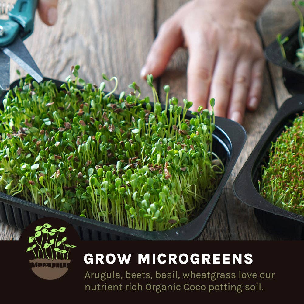 Coconut Coir Husk Chips Coco Mulch for wholesale on Faire12