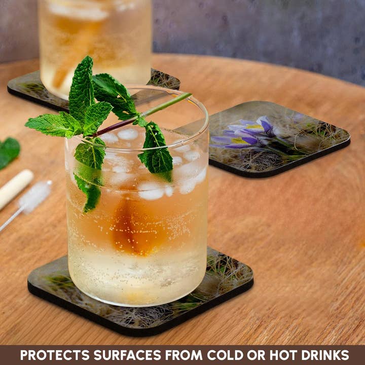 3dRose - Wholesale Coasters - 3dRose, Spring pasqueflower growing in mountains of Otztal Alps, Italy., Coaster9