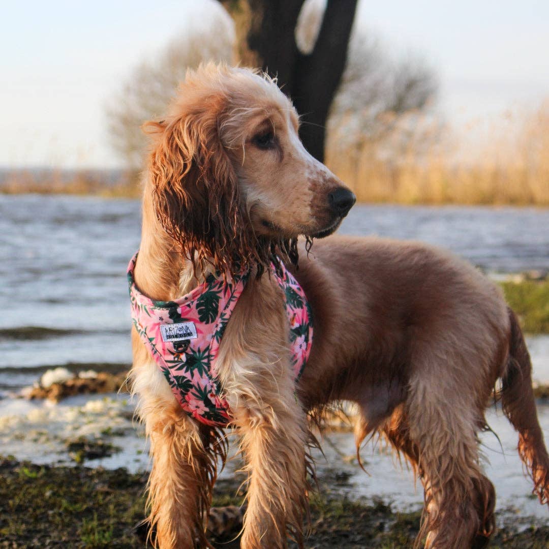 Arizona Hotdogs – Großhandel Haustiergeschirr – Hund – Hundevestgeschirr - Tropicool6