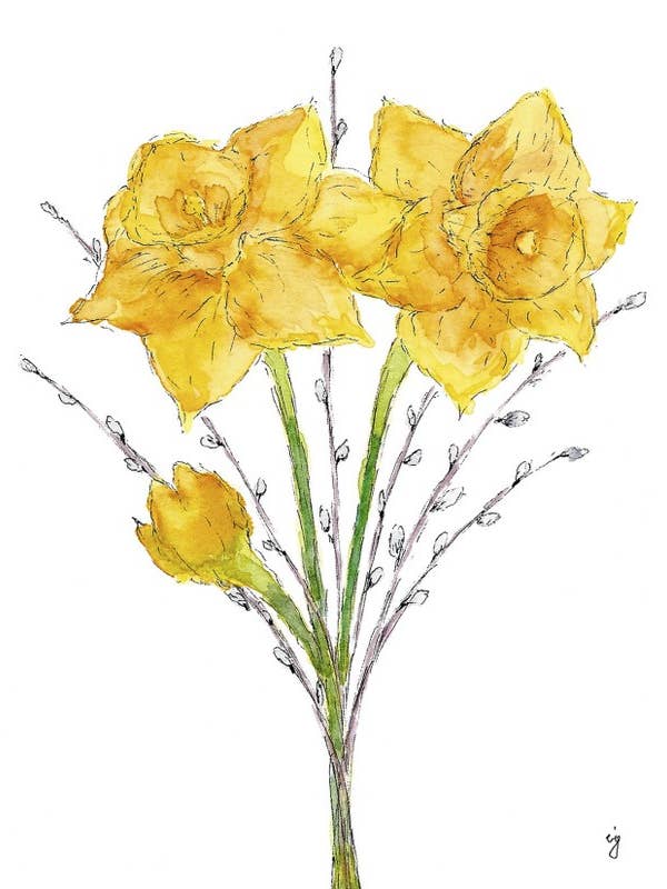 Daffodils for wholesale by SAS {Seattle Art Studio}