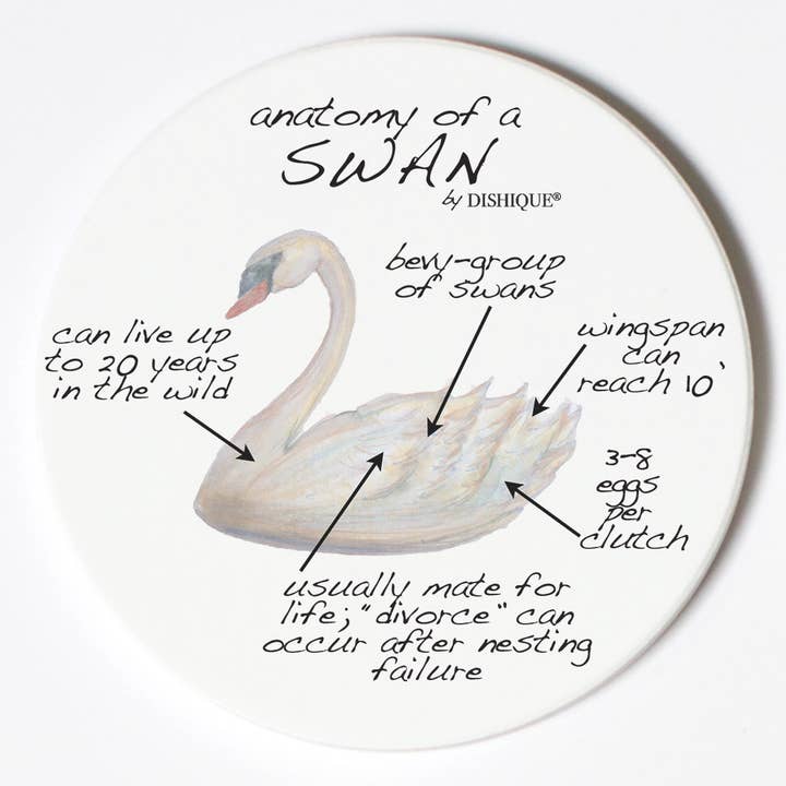 Dishique - Wholesale Coasters - Custom Individual Sandstone Coaster2