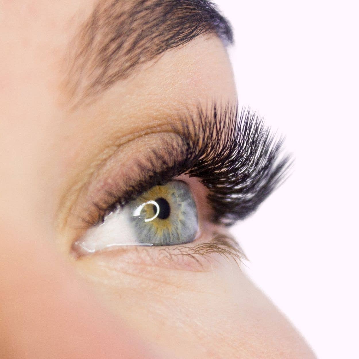 6Sense Essentials Corp. - Wholesale False/fake eyelashes - Premium Classic With 16 Line of Lashes | 0.15C-(8mm-15mm)4