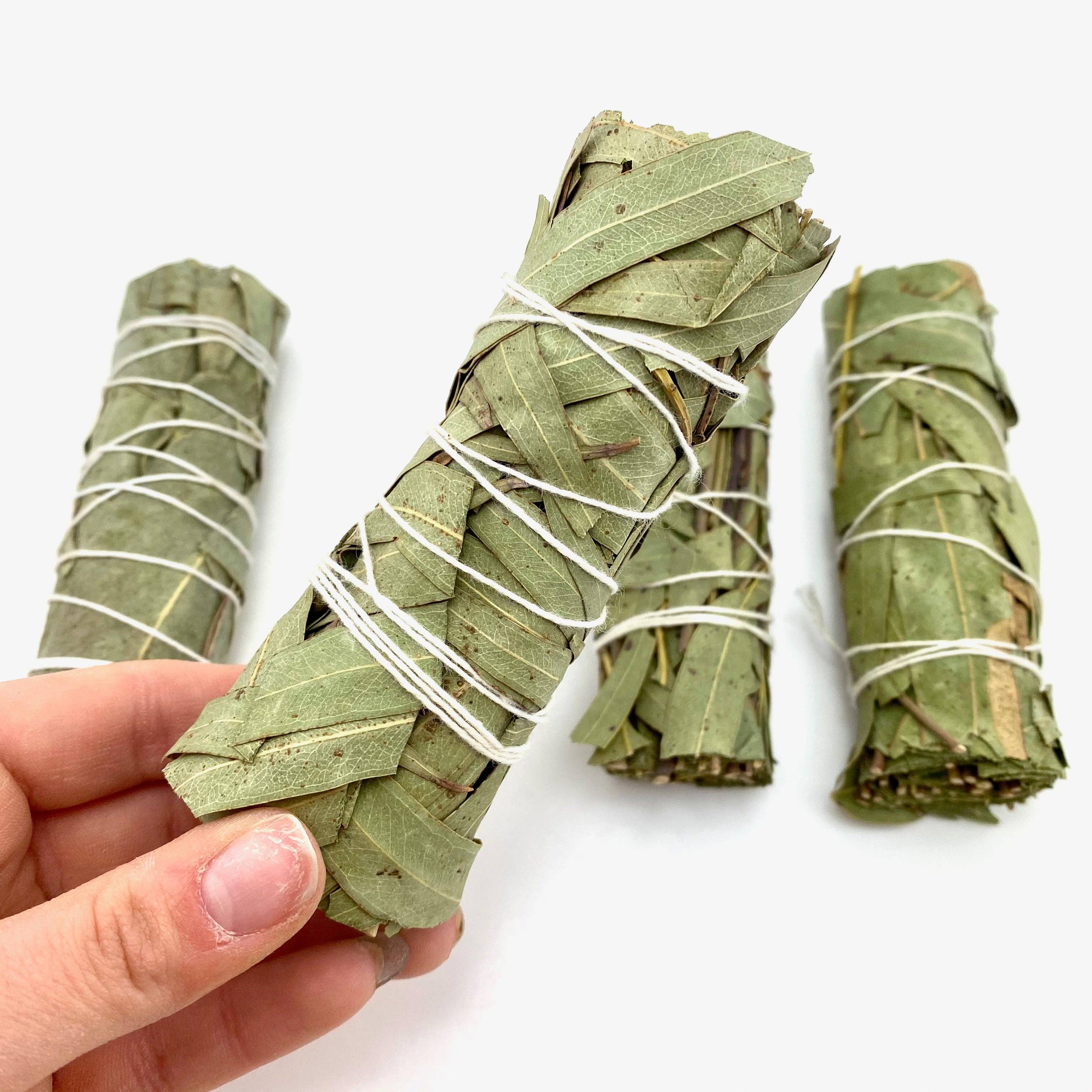 Moon Mountain Gems - Wholesale Sage Bundle - 4" Eucalyptus Sage Bundle, Eucalyptus Smudge, Eucalyptus Sag1
