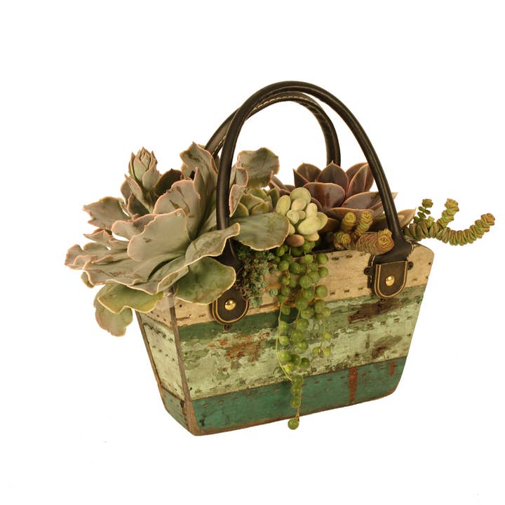 Braun - Wholesale Top Handle Bag - Women's - Purse0