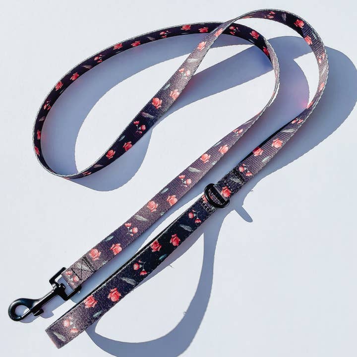 Banksia Bloom Lead for wholesale by Indi Pups