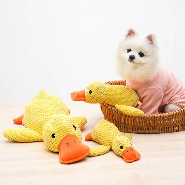 ToyalFriends - Wholesale Pet Squeaky Toy - Dog - Stuffed Duck Pet Chew Squeaky Toy