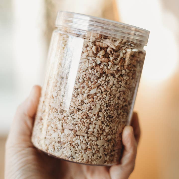 The Saltwater Collective - Wholesale DIY craft kit – Child - Shell Sand3