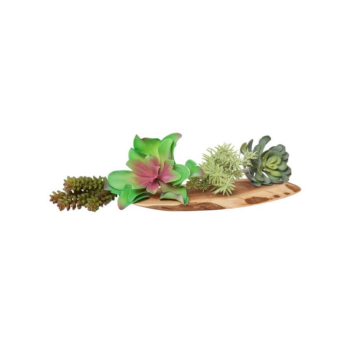 Plantes aériennes artificielles & faux succulents | Décoration bohème pour la vente par Chive Canada