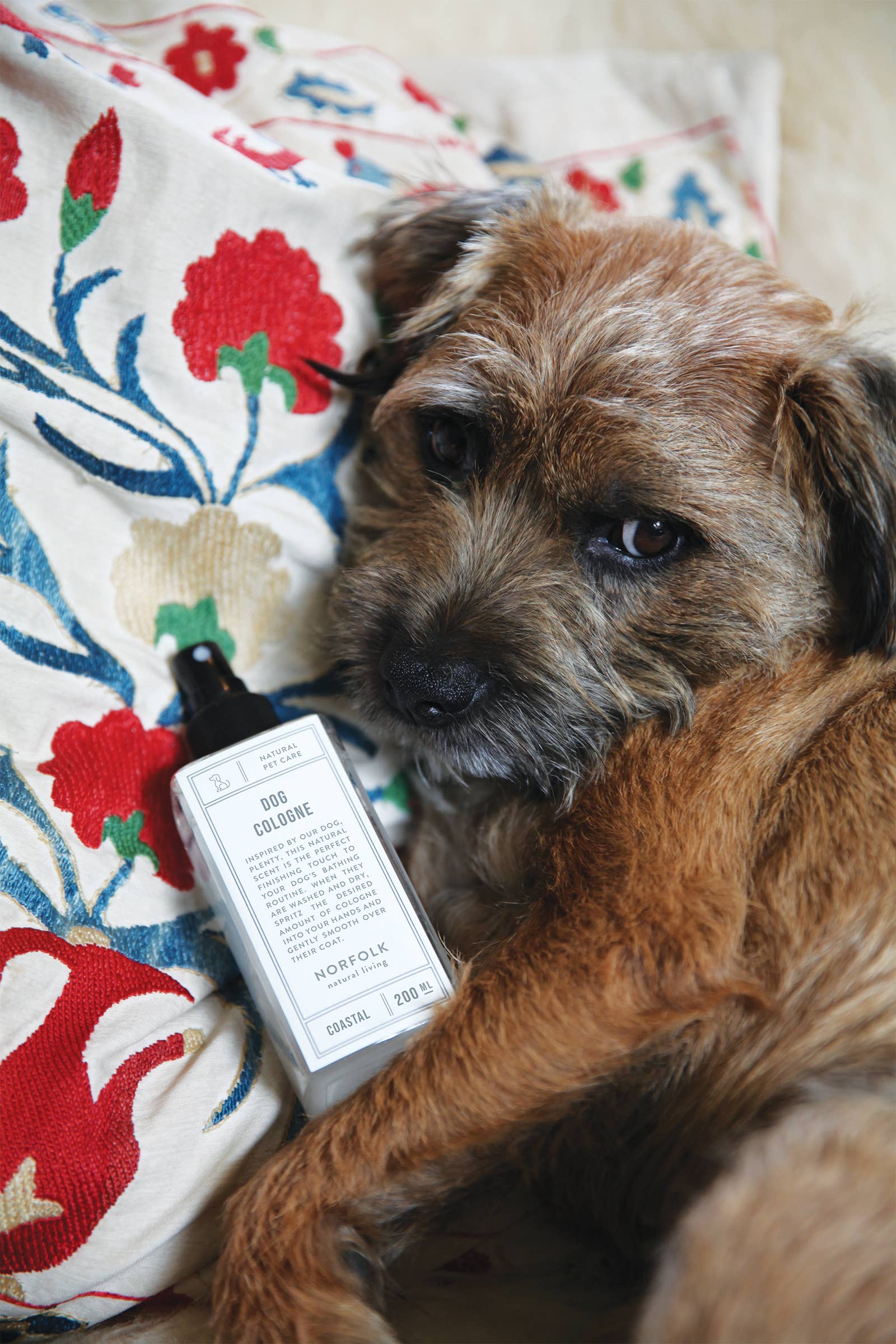 Norfolk Natural Living - Vente Spray – chien - Eau de Cologne pour chien - Coastal Walks 200 ml1