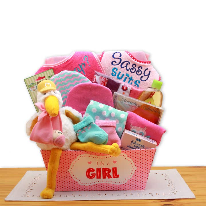 A Special Delivery New Baby Gift Basket- Pink for wholesale by Gift Basket Drop Shipping