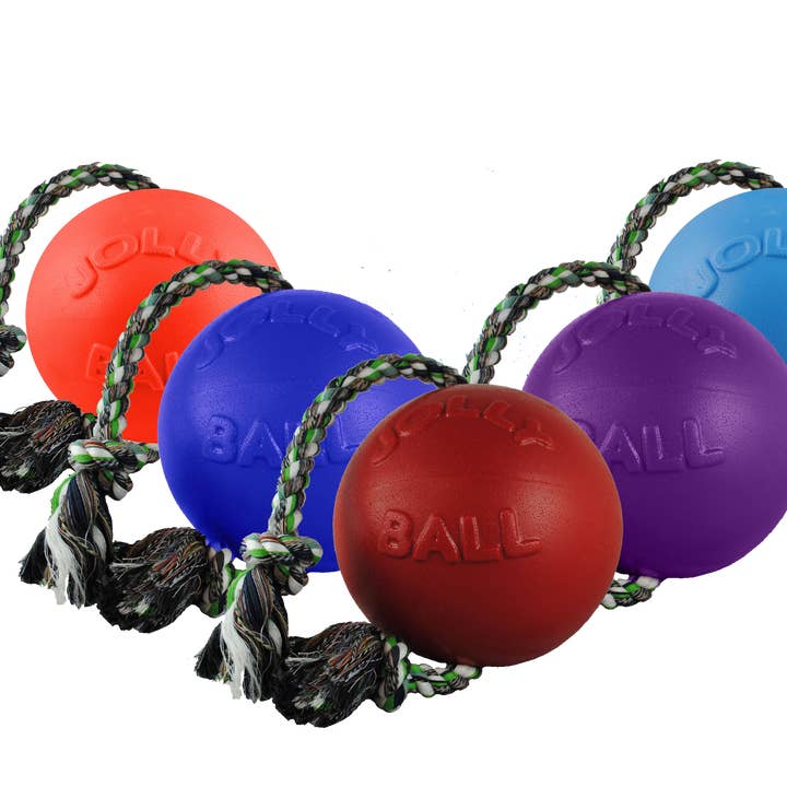 Henry Wag - Vente Jouet en corde – chien - Jouet pour chien Jolly Pets Romp-n-Roll10