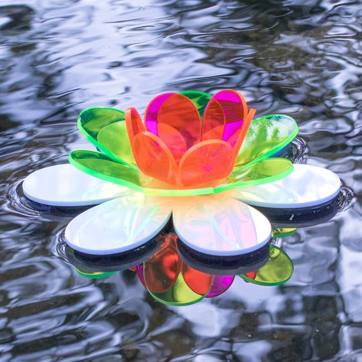 Floating lotus - Ponds & bird baths - Green/Pink for wholesale by The Colored Petal