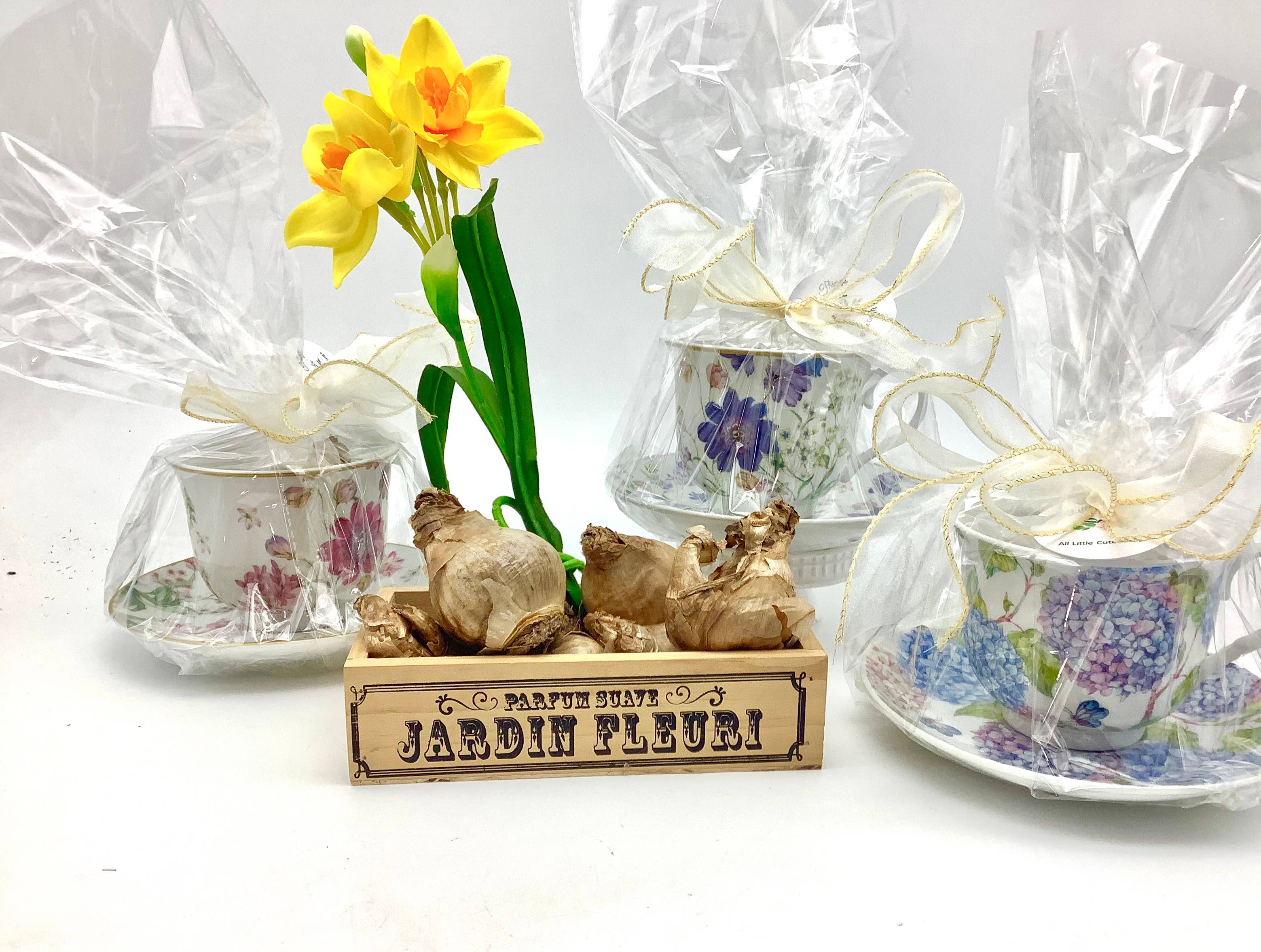 All Little Cute Things - Wholesale Party Favor - Dutch Daffodil Bulb in a Teacup, Garden Tea Party Favors3