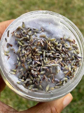 Lavender & Vanille Cream Zeezout Scru voor wholesale door GlassWing Organics