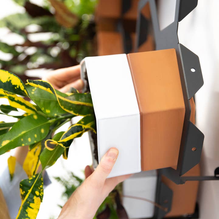 Horticus – wholesale Väggkruka – Horticus levande vägg växt ram2