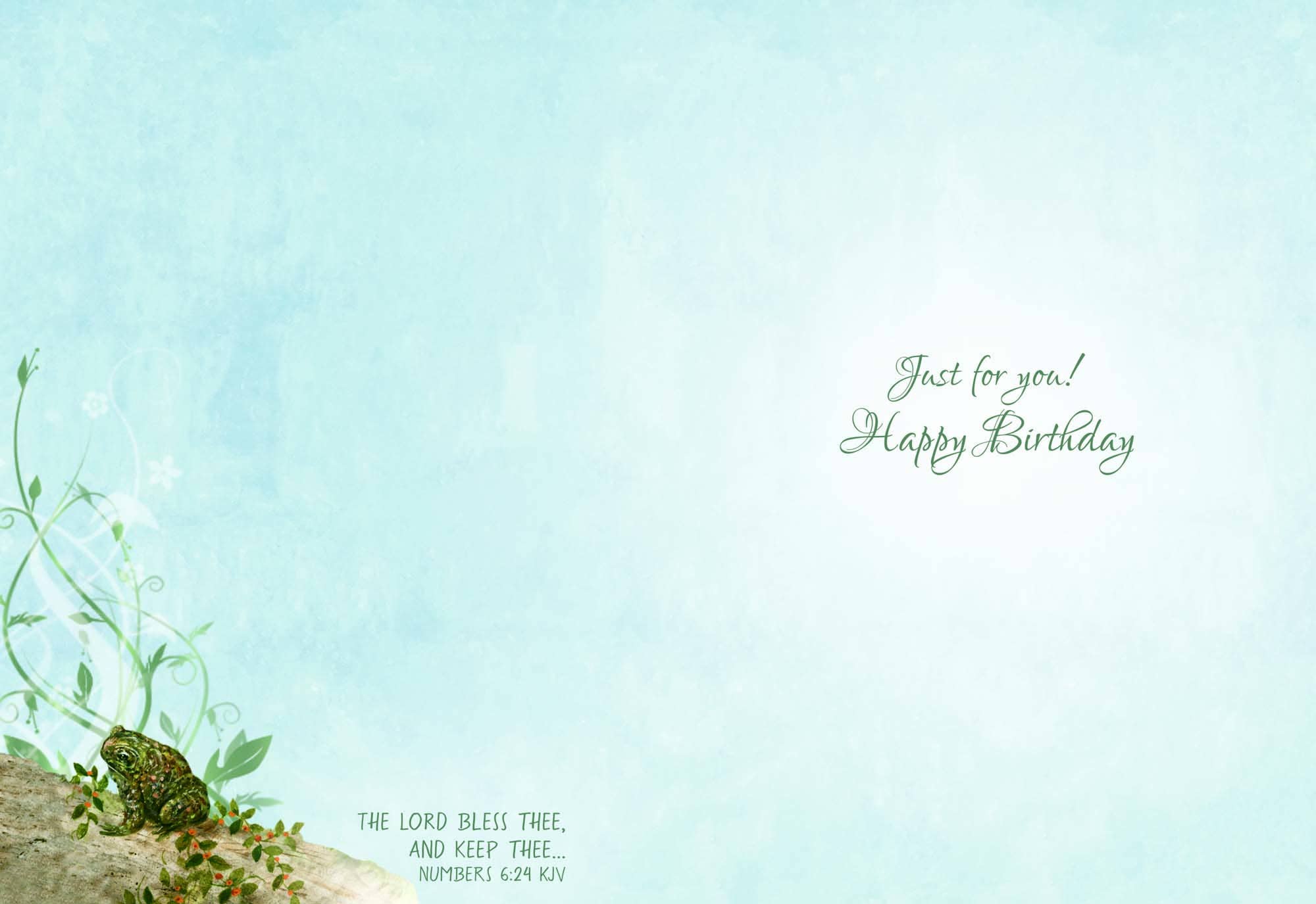 Crown Point Graphics - Vente Cartes d'anniversaire - Cartes d'anniversaire religieuses - Petite faune | 12 cartes5