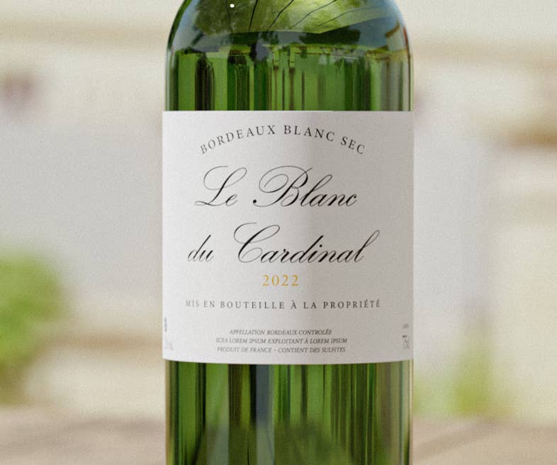 Château Palais Cardinal – Großhandel Weißwein – Le Blanc du Cardinal – Bordeaux Blanc 20232