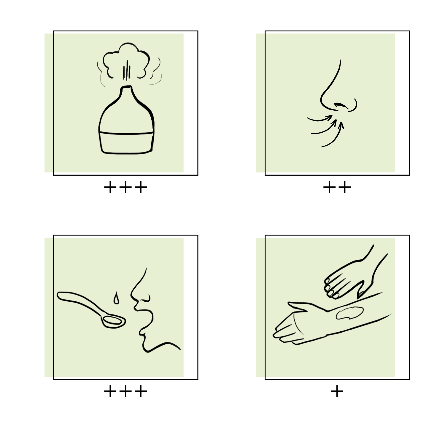 Essences Naturelles Corses - Wholesale Essential Oil - Organic lemon - Essence - Aromatherapy - 10ml3