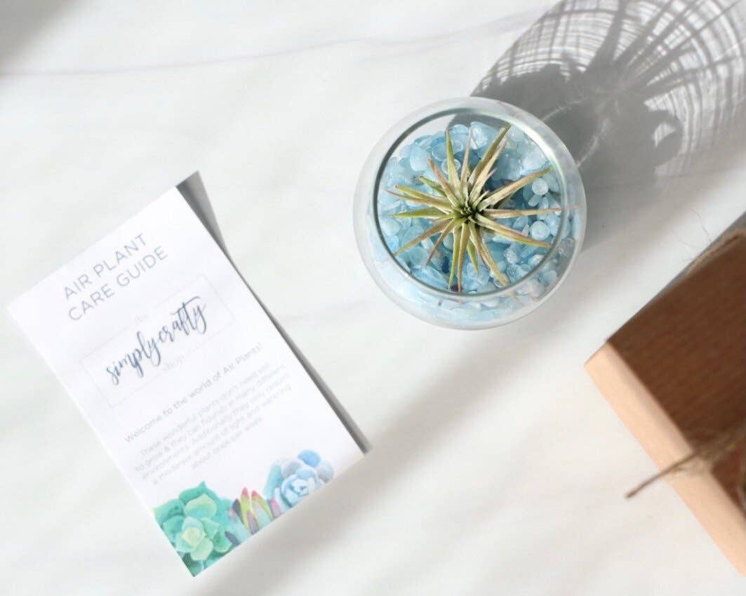 The Simply Crafty Shop - Wholesale Terrarium - Mini Bubble Terrarium Kit- Semi-Precious Stone33