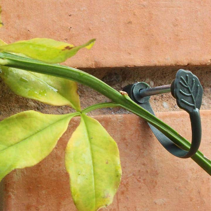 JARDIN Y NATURA OUTDOOR & GARDEN PRODUCTS SL - Wholesale Trellis - Supports for climbing plants (8u) - CLIMBING TIE2