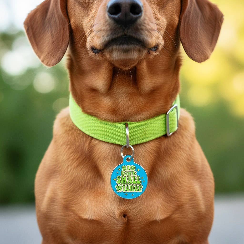 Bad Tags - Wholesale Halsbandlabel - Hond - Grappige Hondenpenning Scanbare QR-code - Grote Blaffer Kleine Wiener6