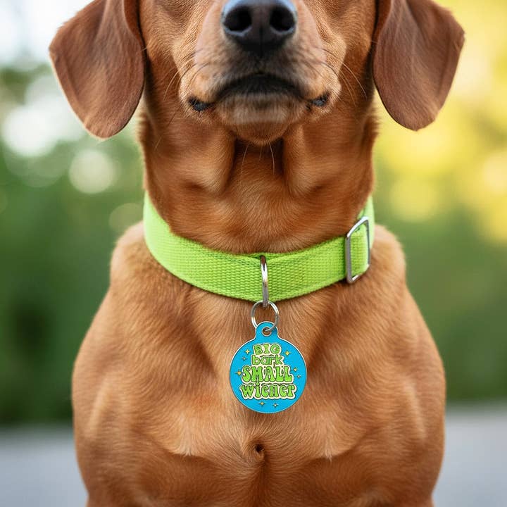 Bad Tags - Wholesale Halsbandlabel - Hond - Grappige Hondenpenning Scanbare QR-code - Grote Blaffer Kleine Wiener6