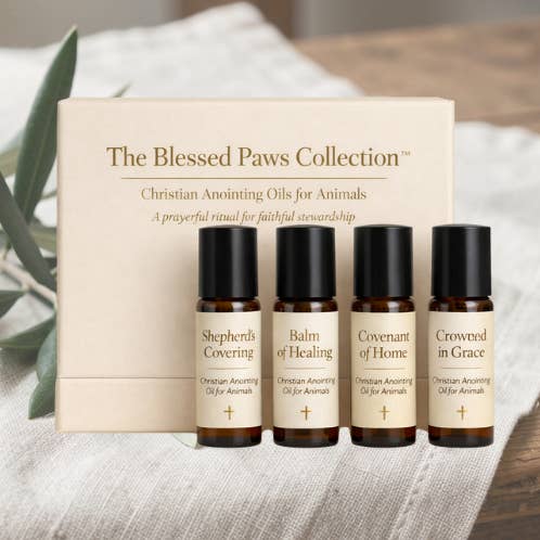 ÅTERFÖRSÄLJARE STARTPAKET för wholesale av Bark Fifth Avenue