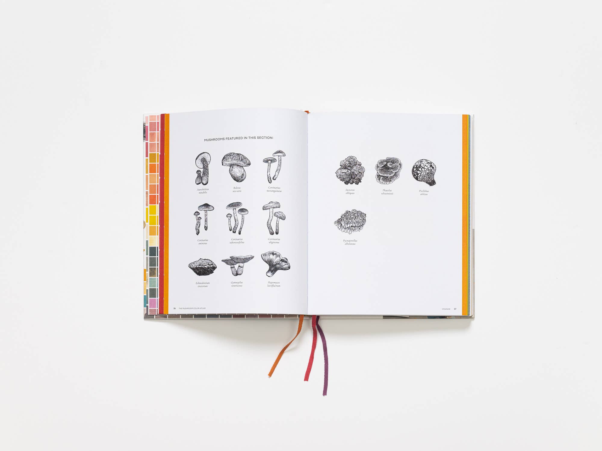 Chronicle Books - Wholesale Nature & Outdoors - Mushroom Color Atlas3