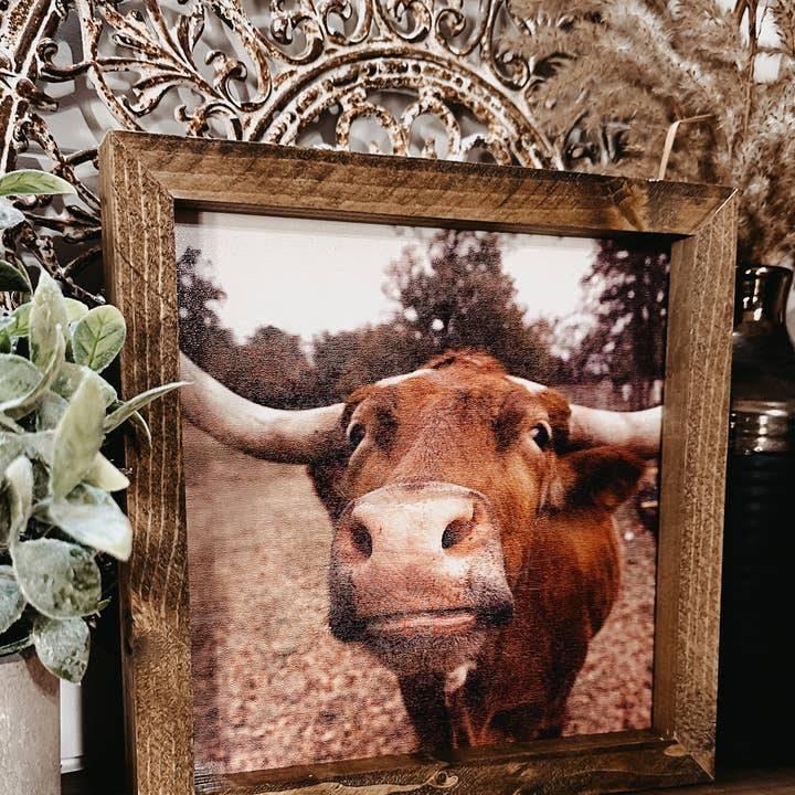 The Broken Board – wholesale Fotografi – Longhornko pussar2