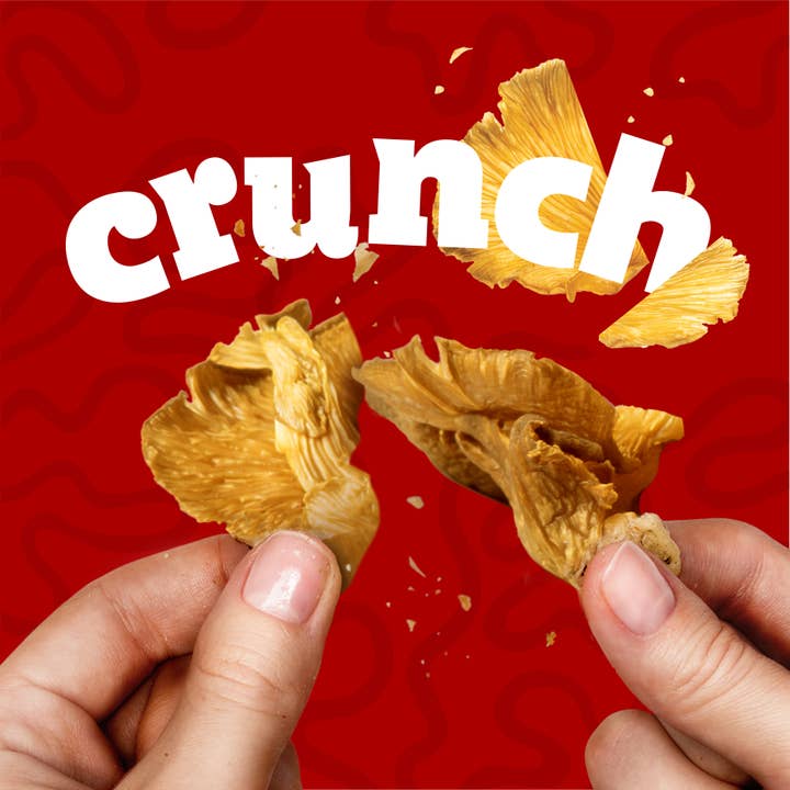 EVIL SNACKS - Wholesale Chips - Evil Snacks Crunchy Mushroom Chips Sriracha Lime Flavor, 2oz5