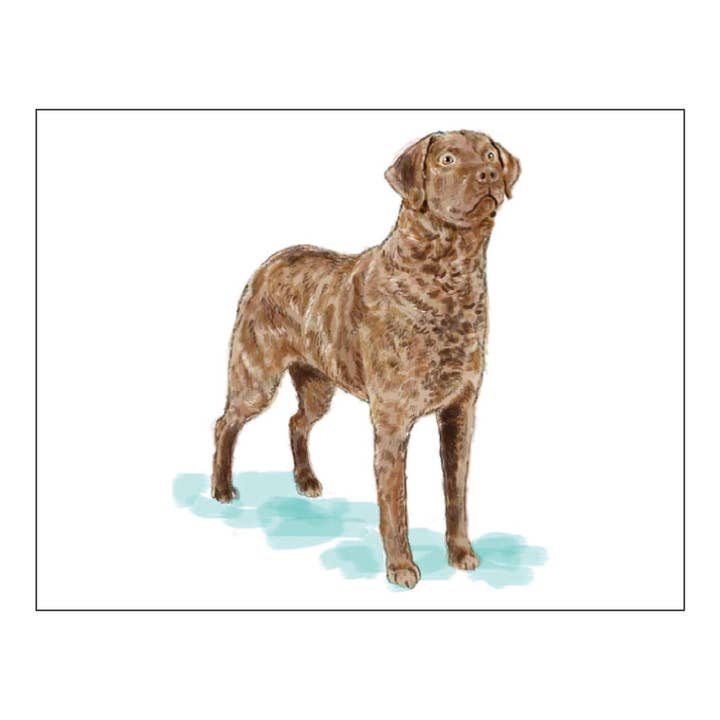 CHESAPEAKE BAY RETRIEVER FOLDOVER NOTITIEKAARTEN voor wholesale door Donovan Designs