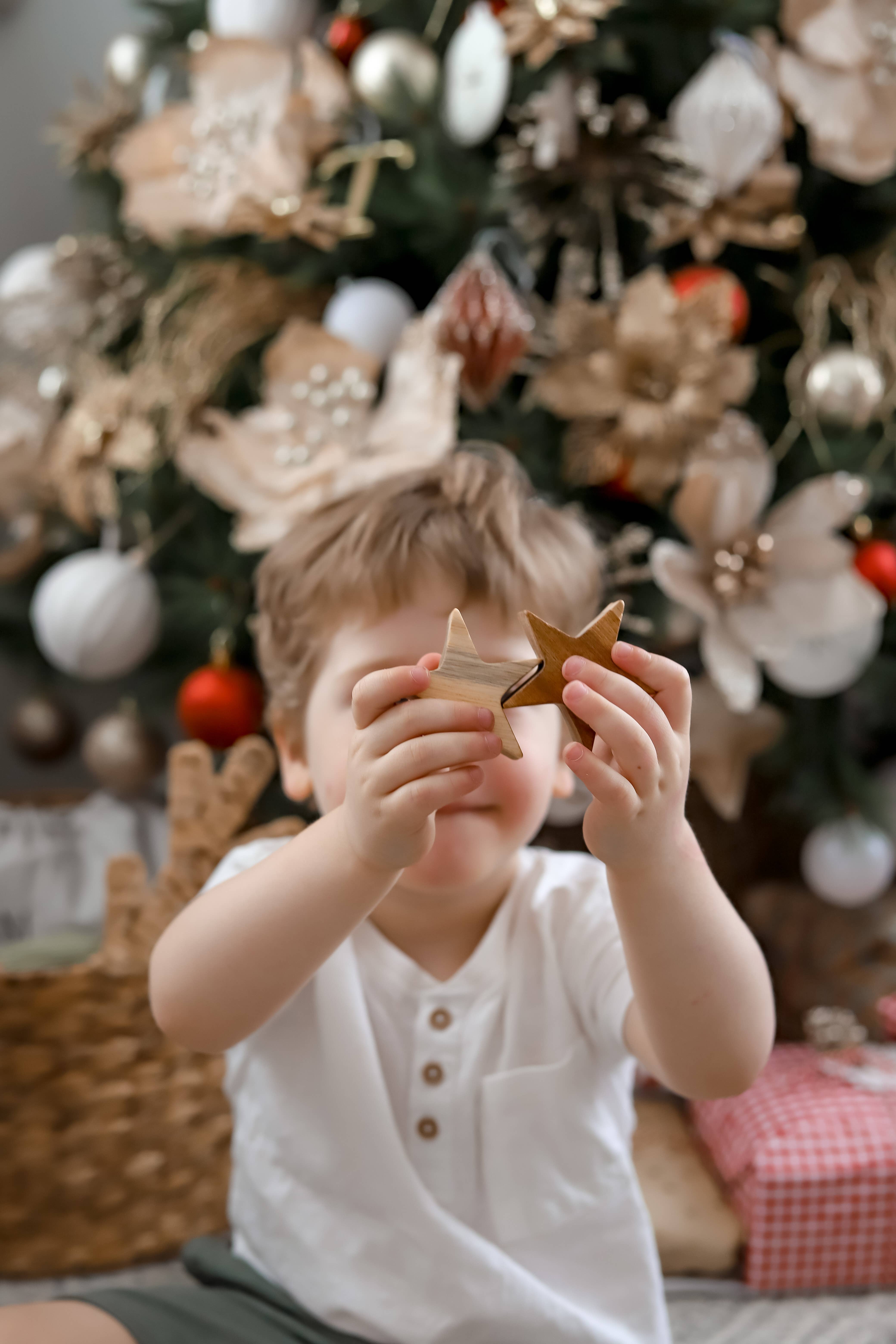 Q Toys - Vente Jouet en bois – enfant - Jeu d'équilibre entre lune et étoile2
