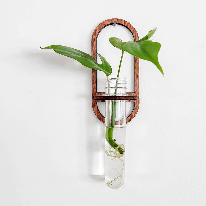 Leaf & Node - Wholesale Hanging Planter - Wall Hanging Propagation Station - Oval Test Tube Holder0