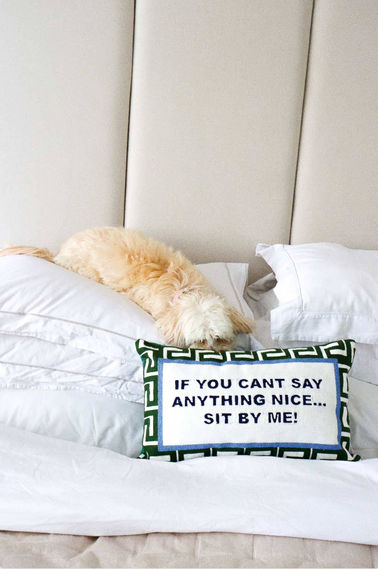 The Pillow Drop – wholesale Throw/decorative pillow – If You Can't Say Anything Nice...Sit By Me Needlepoint Cushion2