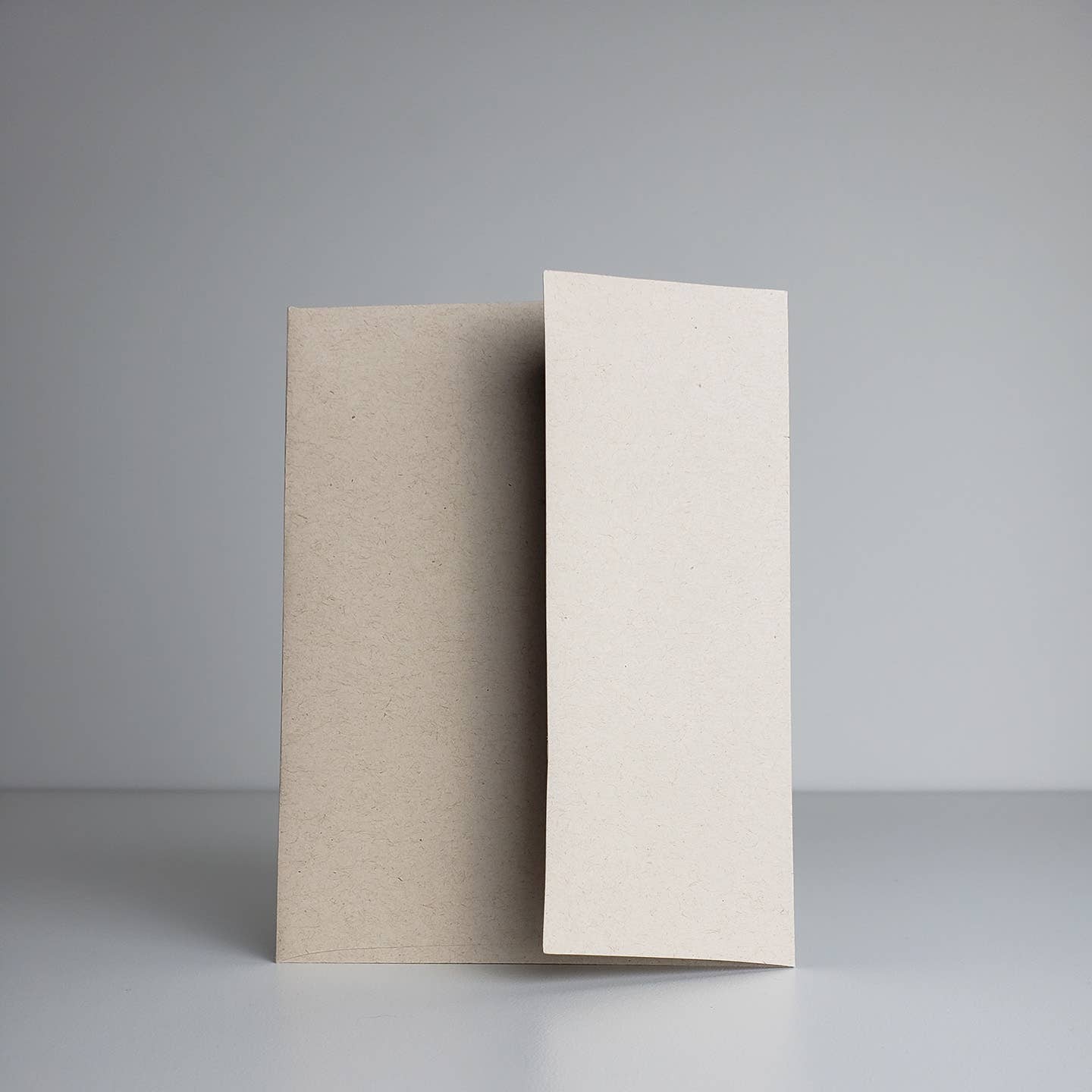 Studio Sardine - Wholesale Everyday Greeting Card - Pileated Woodpecker A2 Size Notecards, Blank Greeting Cards3