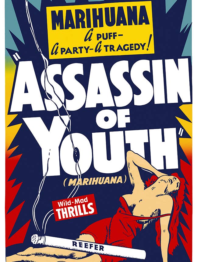 Assassin of Youth 11x17 Bag and Boarded Poster for wholesale by Pyramid America