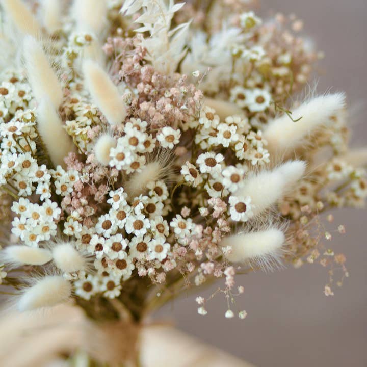 Fidos Design - Vente Fleur séchée/pressée - Bouquet de mariée de fleurs séchées avec marguerites, gypsophile rose poussiéreux2
