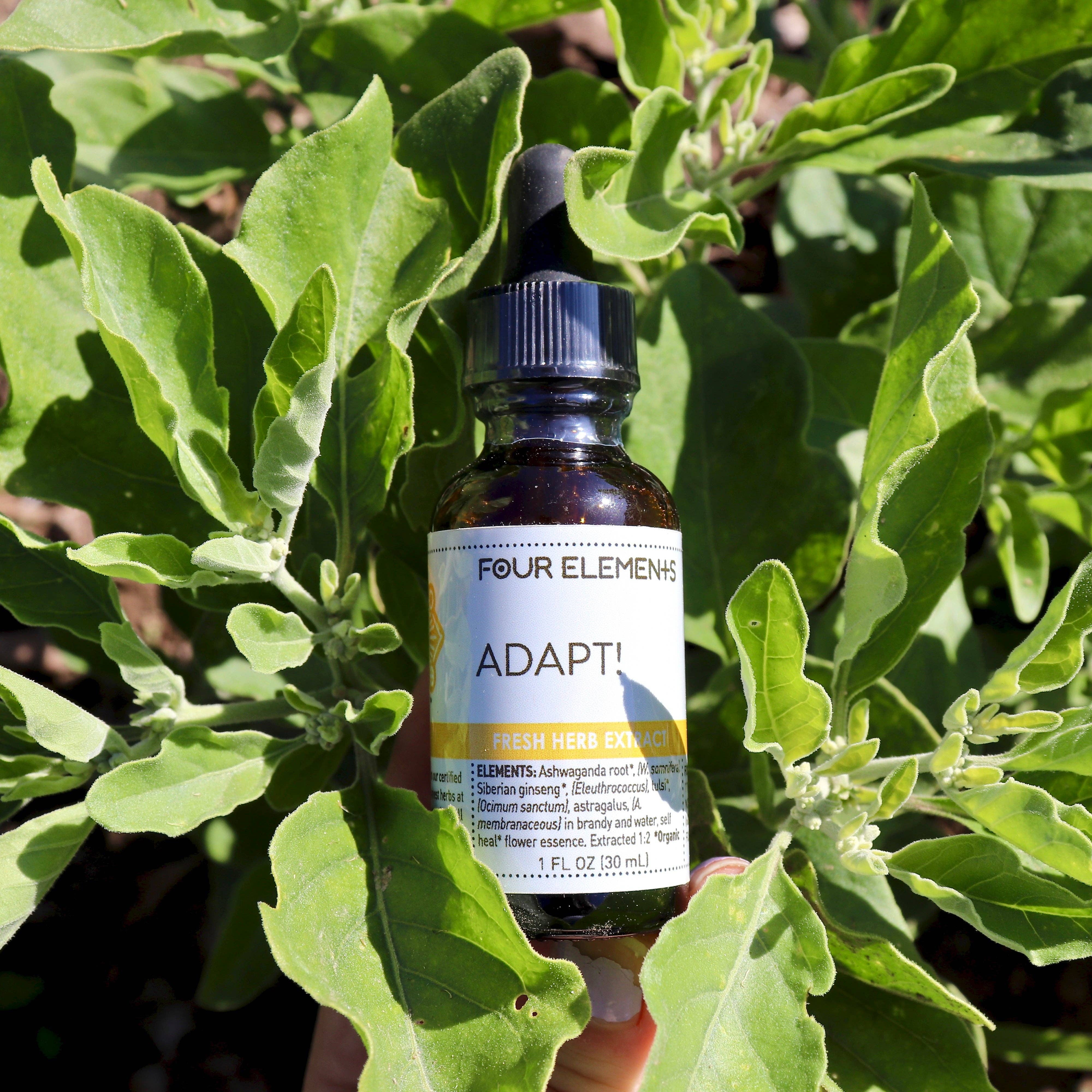 Four Elements Organic Herbals - Wholesale Tincture - Adapt! Tincture Blend -  1 oz0
