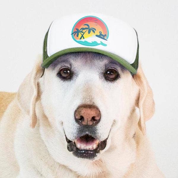 PupLid - Wholesale Pet Hat - Dog - Surfer Dog Standard or Namedrop | Trucker Hat for Dogs52