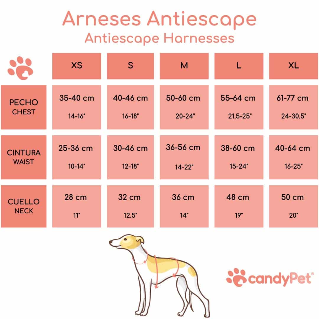 candyPet – Großhandel Haustiergeschirr – Hund – 3-Punkt Anti-Fluchthund-Geschirr9