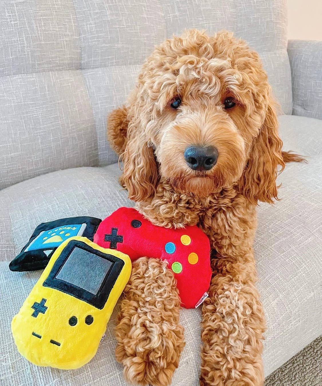 TONBO - Wholesale Pet Plush Toy - Dog - TONBO Gamer Combo - Dog Toys, Game Card, Controller, Console2