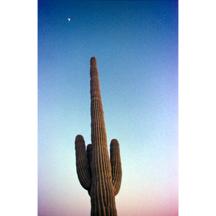 Saguaro Sunset for wholesale by Jaechon Anderson Film Photography