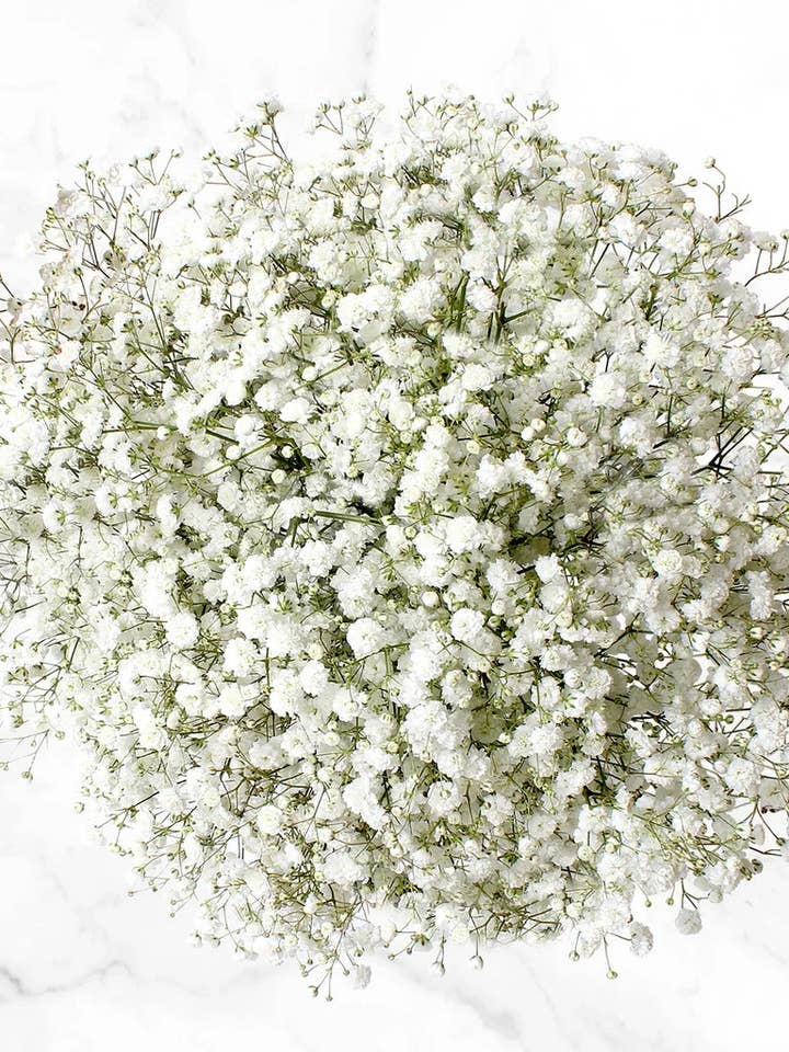 Popular Filler Baby' Breath Bouquet Valentines Fresh Cut Floral Arrangement for any Events and Occasions (Copy) for wholesale by UniqueMartandHome