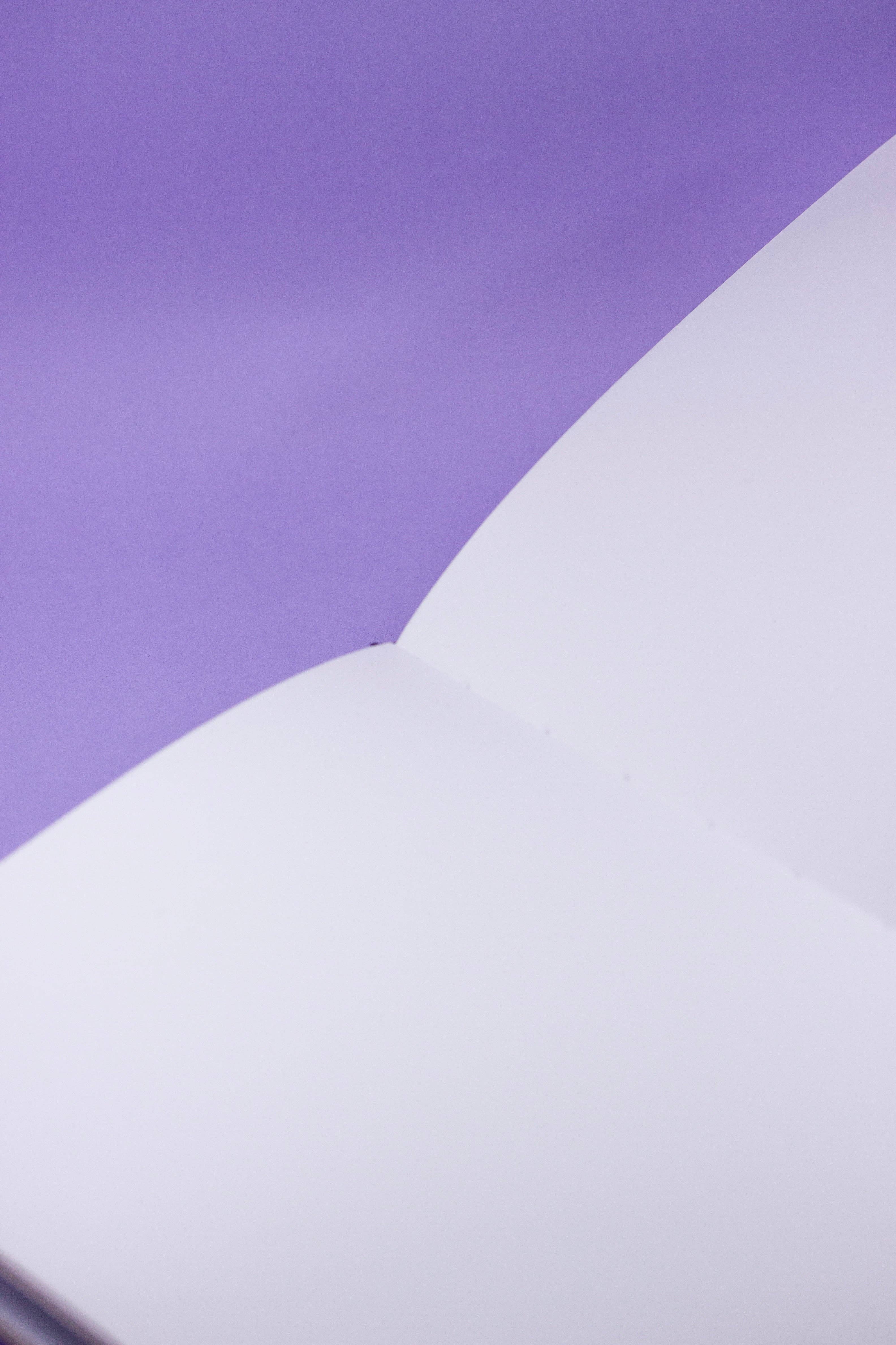 Joanna Behar - Wholesale Journal/Diary - ✦ Book of Bitch Craft Journal ✦1