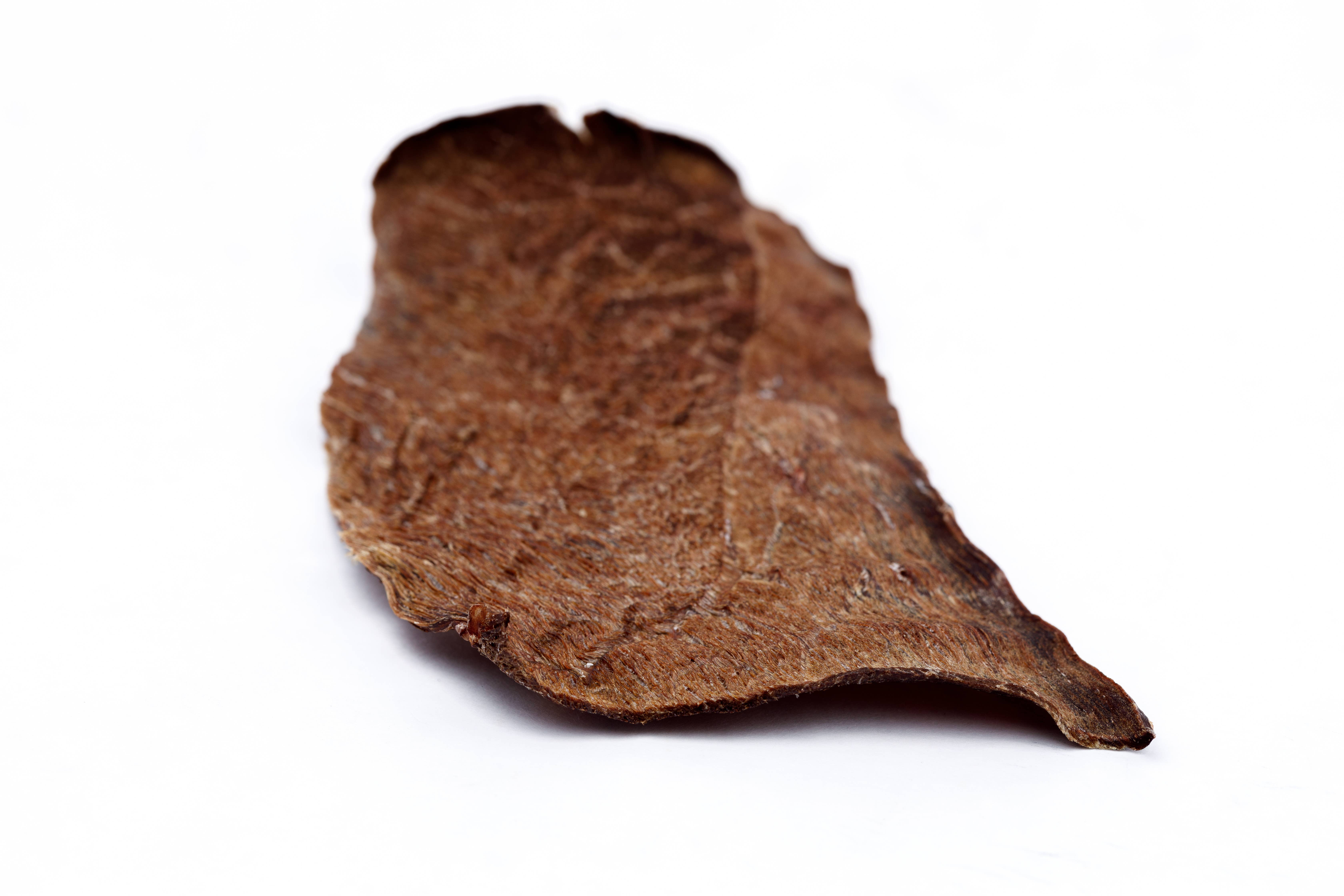 Jeffrey's Natural Pet Foods - Wholesale Pet Treats - Dog - Jeffrey's House Made Beef Jerky4