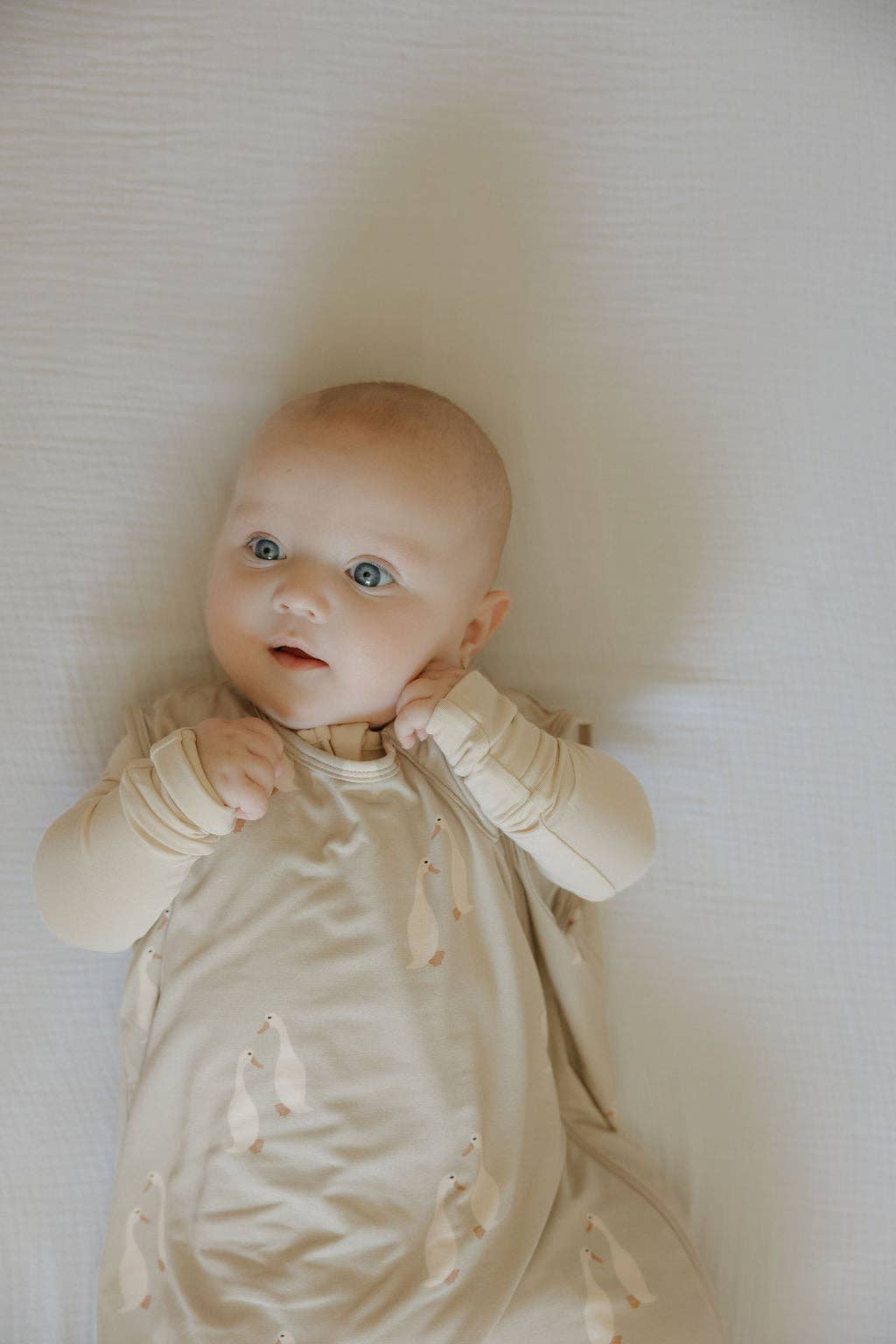 Forever French Baby - Wholesale Sleepsack - Baby - Bamboo Sleep Sack | Silly Goose7