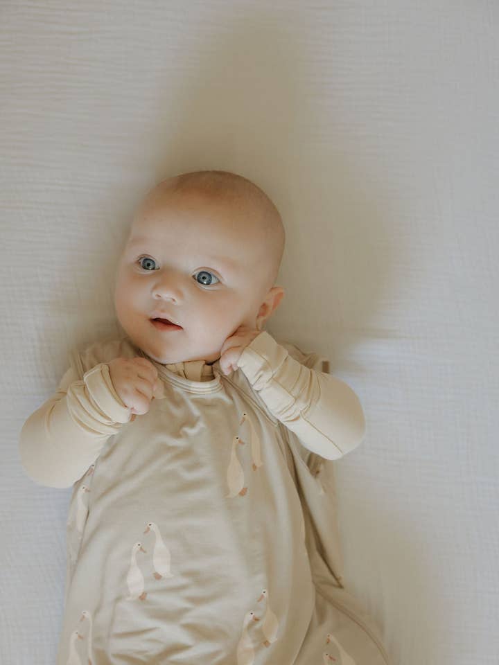 Forever French Baby - Wholesale Sleepsack - Baby - Bamboo Sleep Sack | Silly Goose7