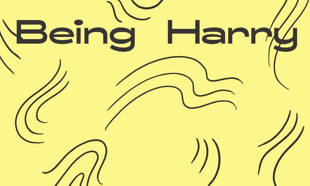 Chronicle Books - Wholesale Arts & Entertainment - What Harry Says3